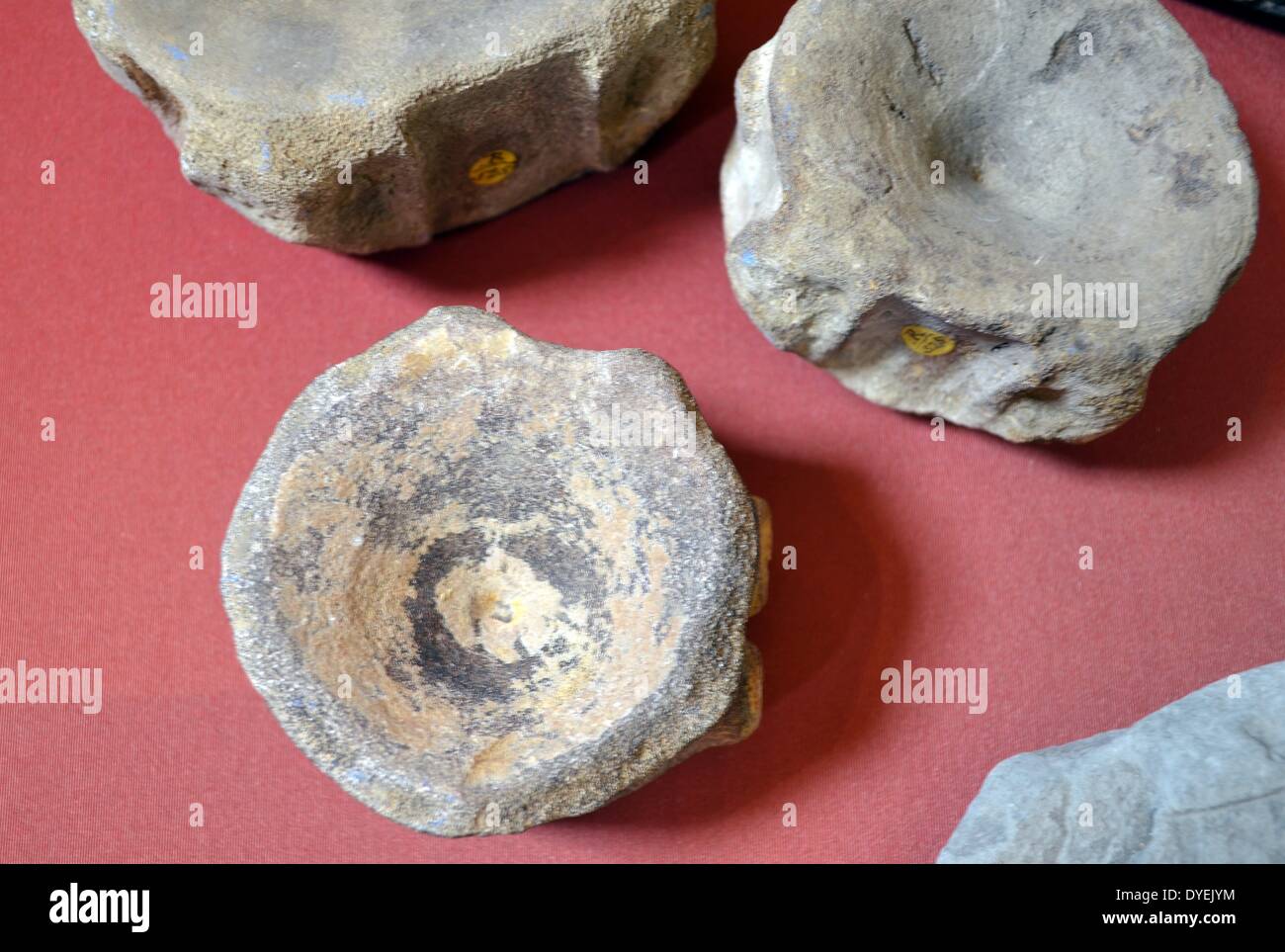 Fossils found by Mary Annings and Family 1821. They would sell fossils found on the shore at Lyme Regis, Dorset to tourists and collectors. Stock Photo