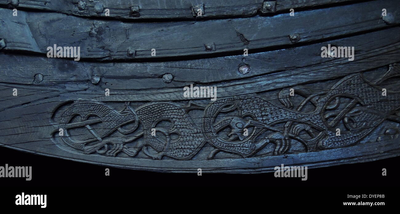 The Oseberg ship . A Viking ship discovered in a large burial mound at the Oseberg farm near Tønsberg in Vestfold county, Norway. Dating from around 800 AD, the ship was excavated by Norwegian archaeologist Haakon Shetelig and Swedish archaeologist Gabriel Gustafson in 1904-1905. The ship is displayed at the Viking Ship Museum, in Bygdøy. Stock Photo