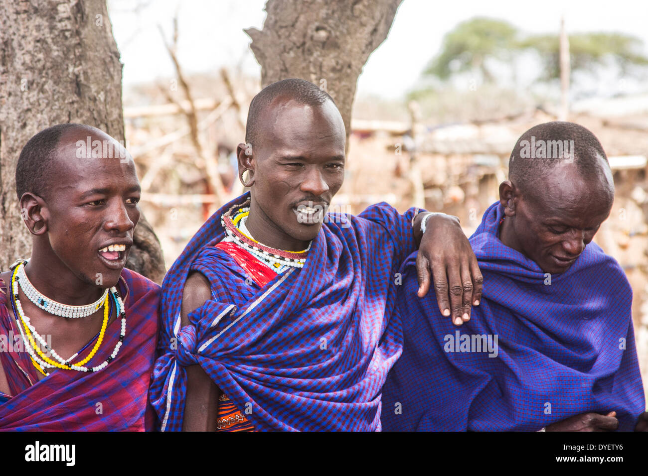 A group of Maasai men in the village. Photographed in Kenya Stock Photo