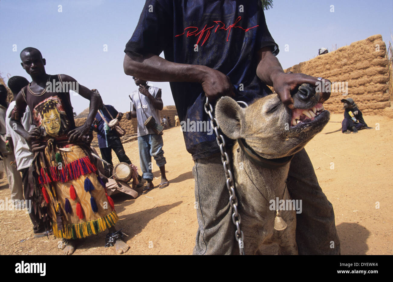 Hyena pet is part of animist circus troop. Animists believe that the