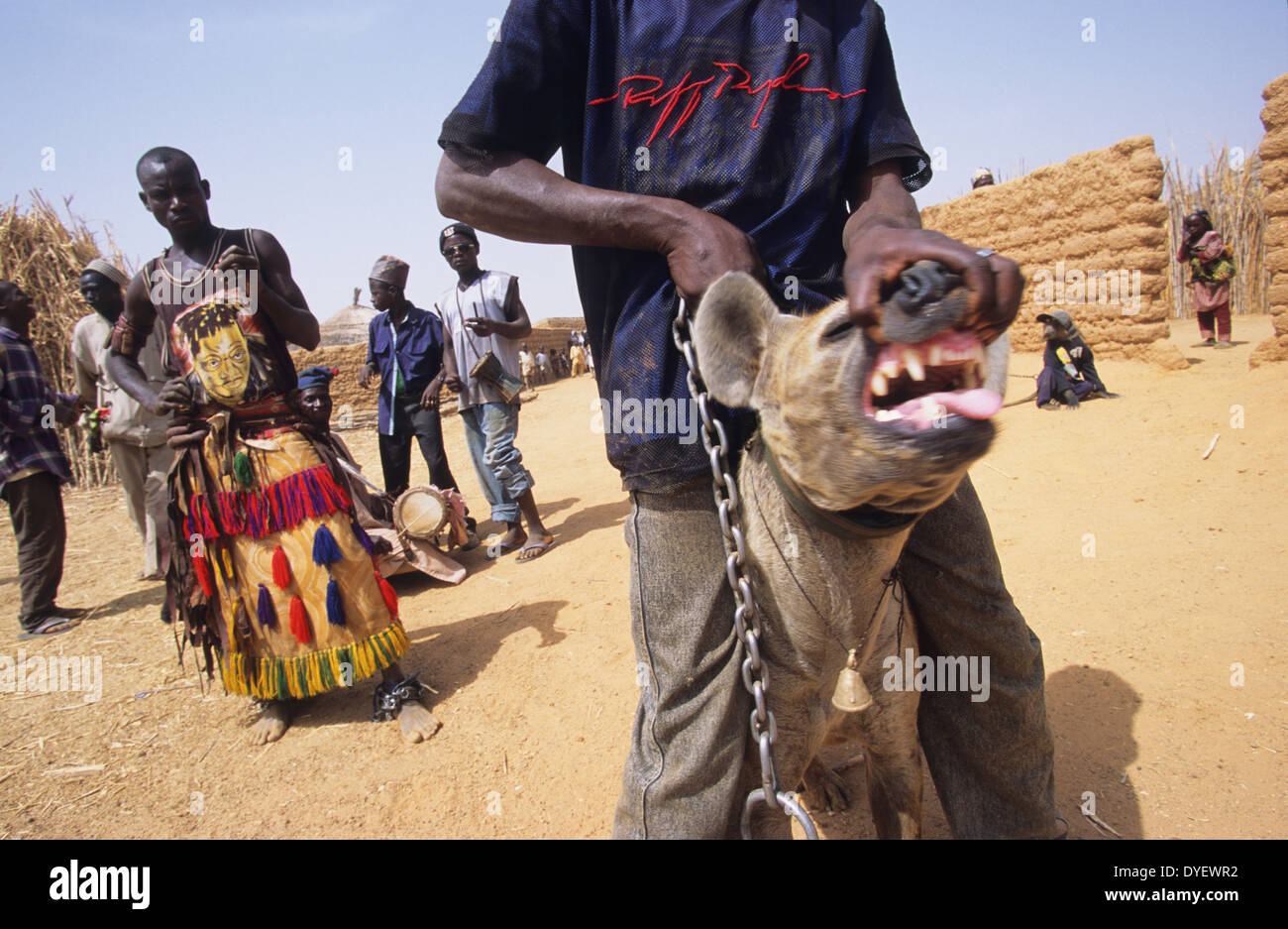 Hyena pet is part of animist circus troop. Animists believe that the