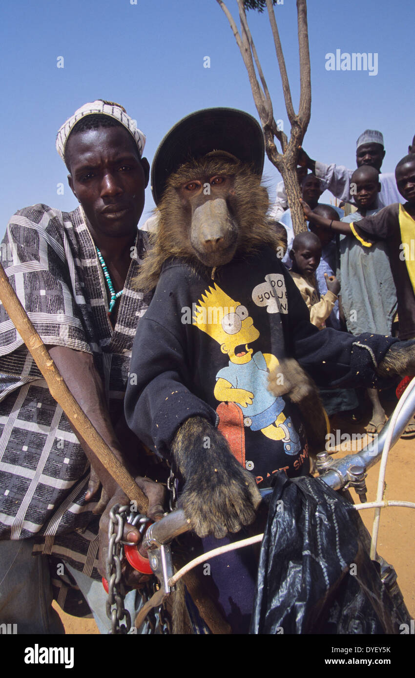 Baboon pet is part of animist circus troop. Animists believe that the