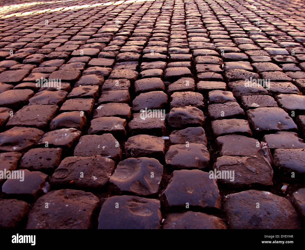 Cobbled stone floor detail from the entrance/courtyard to the Capitolini museums, in Rome, Italy. The museums themselves are contained within 3 palazzi as per designs by Michelangelo Buonarroti in 1536, they were then built over a 400 year period. Stock Photo