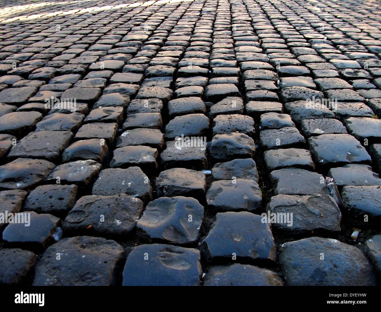 Cobbled stone floor detail from the entrance/courtyard to the Capitolini museums, in Rome, Italy. The museums themselves are contained within 3 palazzi as per designs by Michelangelo Buonarroti in 1536, they were then built over a 400 year period. Stock Photo