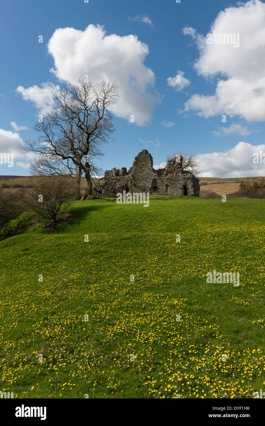 Pendragon Castle Stock Photo