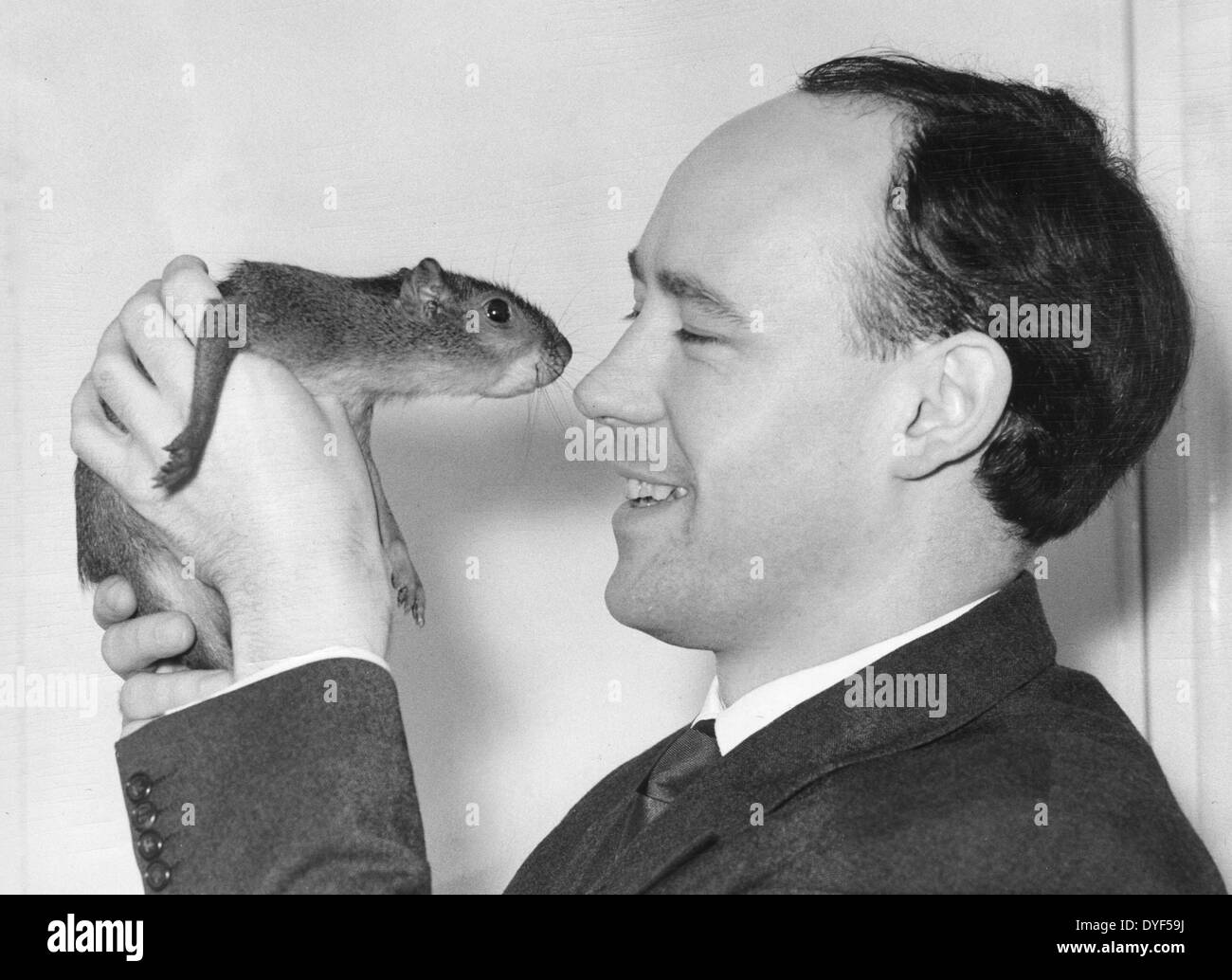Desmond Morris with a tame  Green Acouch ( Myoprocta) a rodent from South America, at the  London Zoo. 1961. Stock Photo