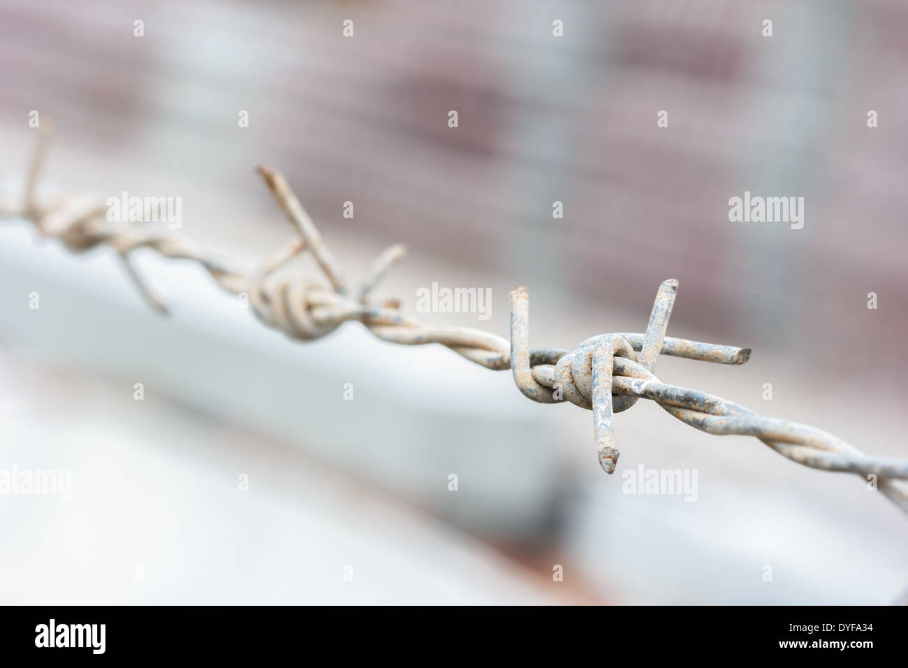 closeup barbed wire fence ,select focus. Stock Photo
