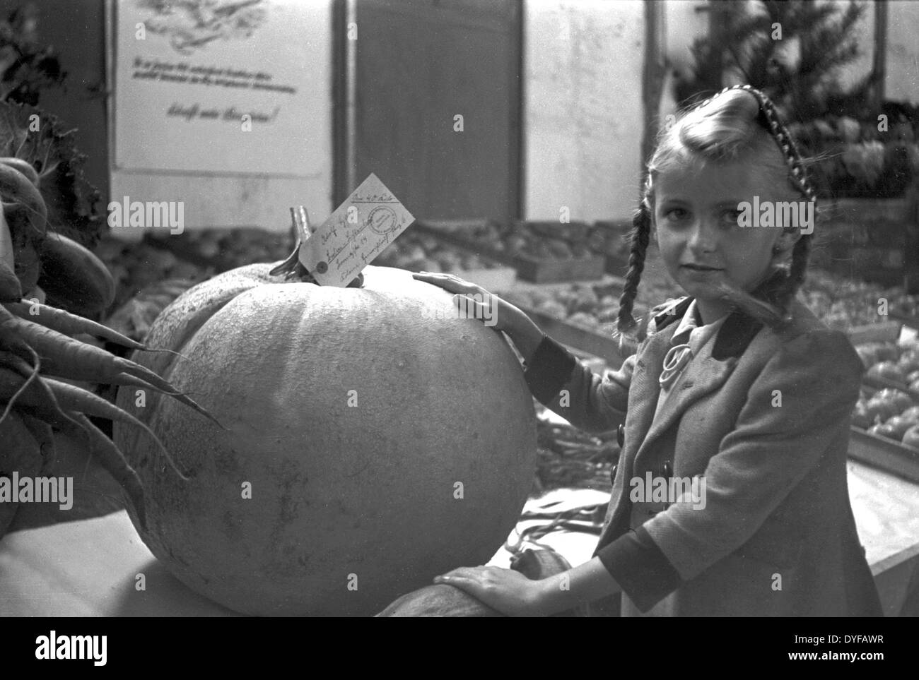 A girl is standing next to a pumpkin at the Green Week at the radio tower in Berlin-Halensee, in 1948. The agricultural exhibition, which takes place since 1926, was continued in 1948 after a break of several years. Stock Photo