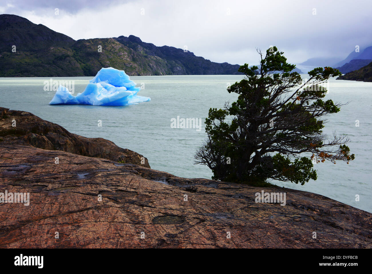 Iceberg in Lago Grey with glacial polished rock, Torres des Paine NP, Patagonia, Chile Stock Photo