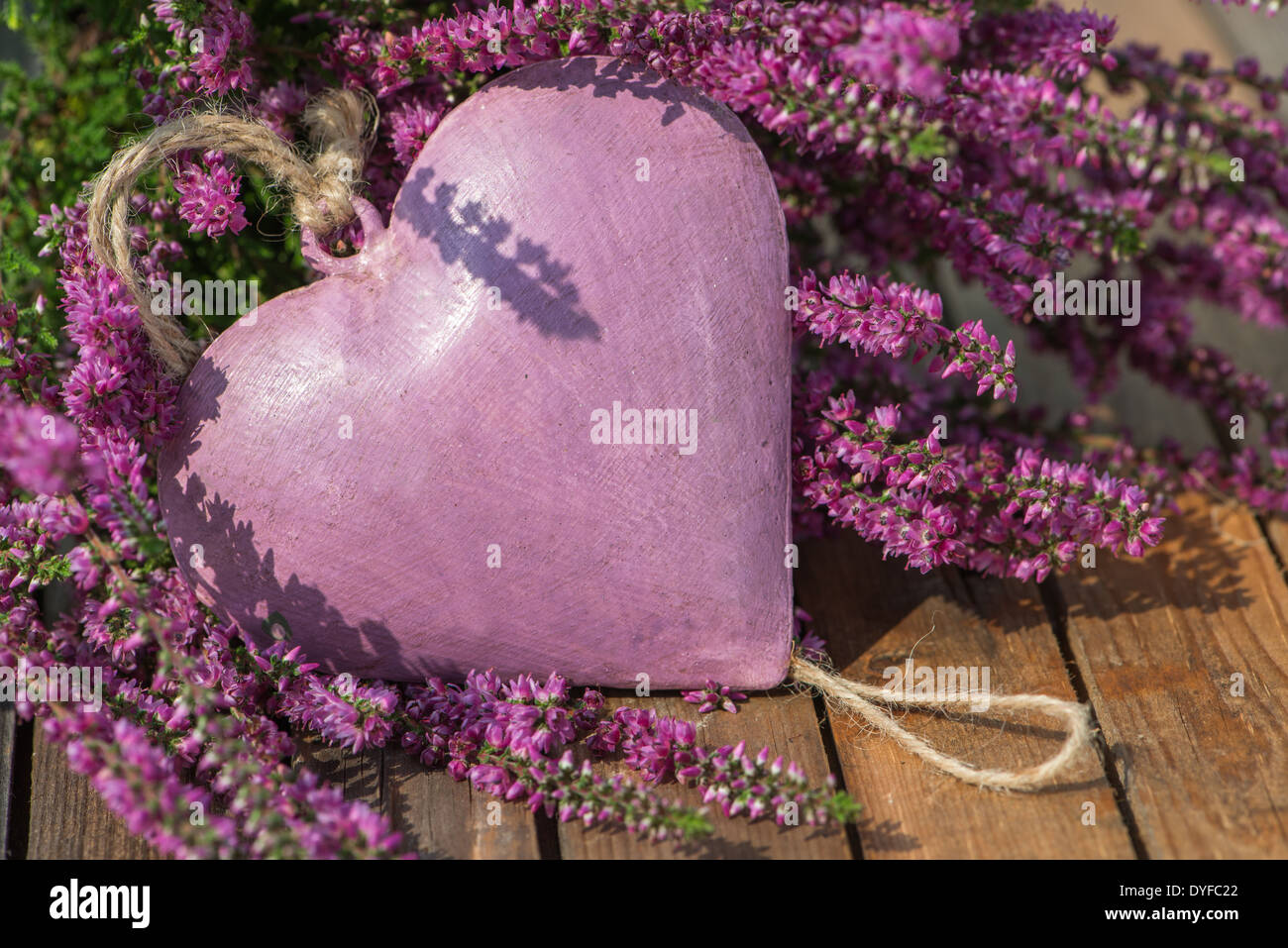 Moorland herb with metall heart Stock Photo