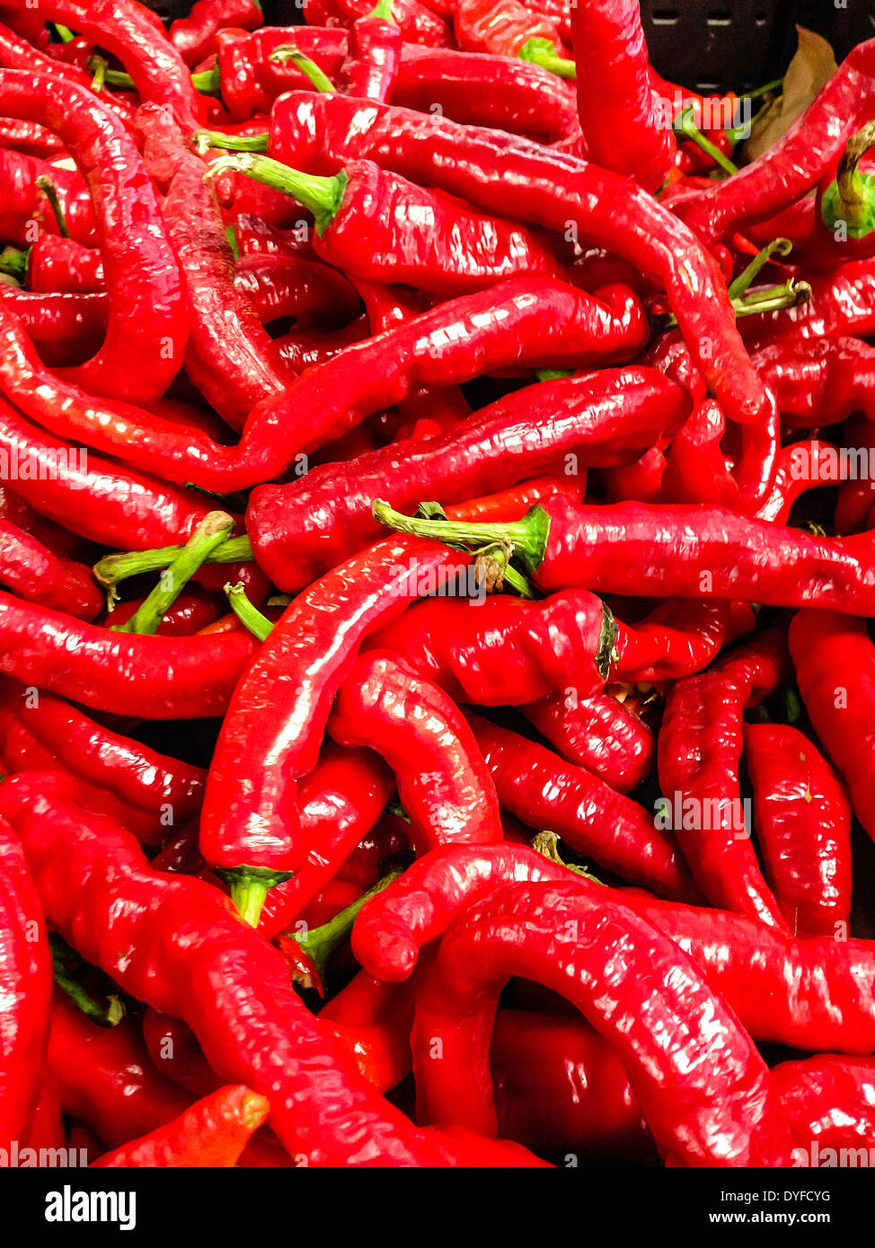 Long hot hires stock photography and images Alamy