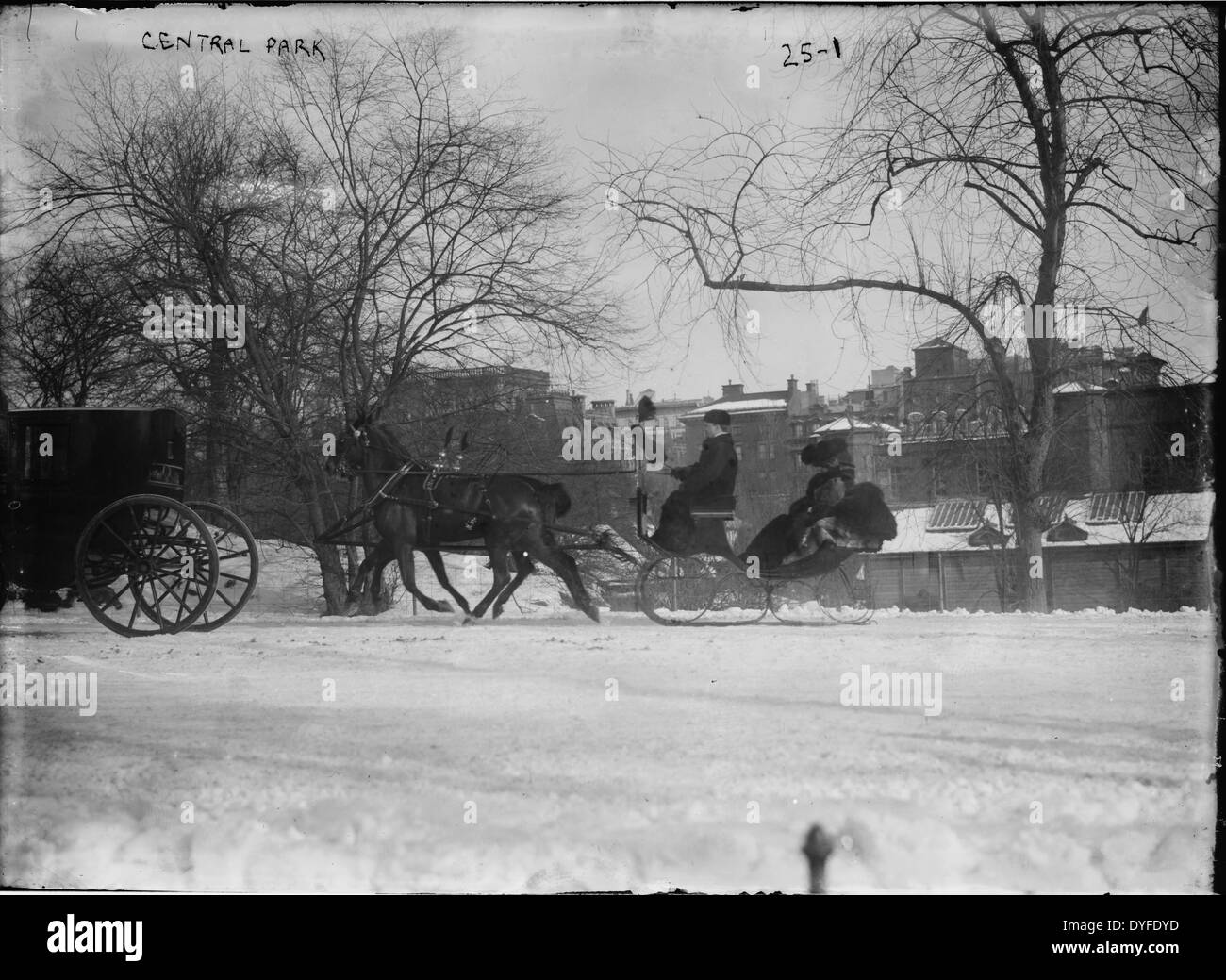 Horse drawn carriages in Central Park in New York are seen in this ...