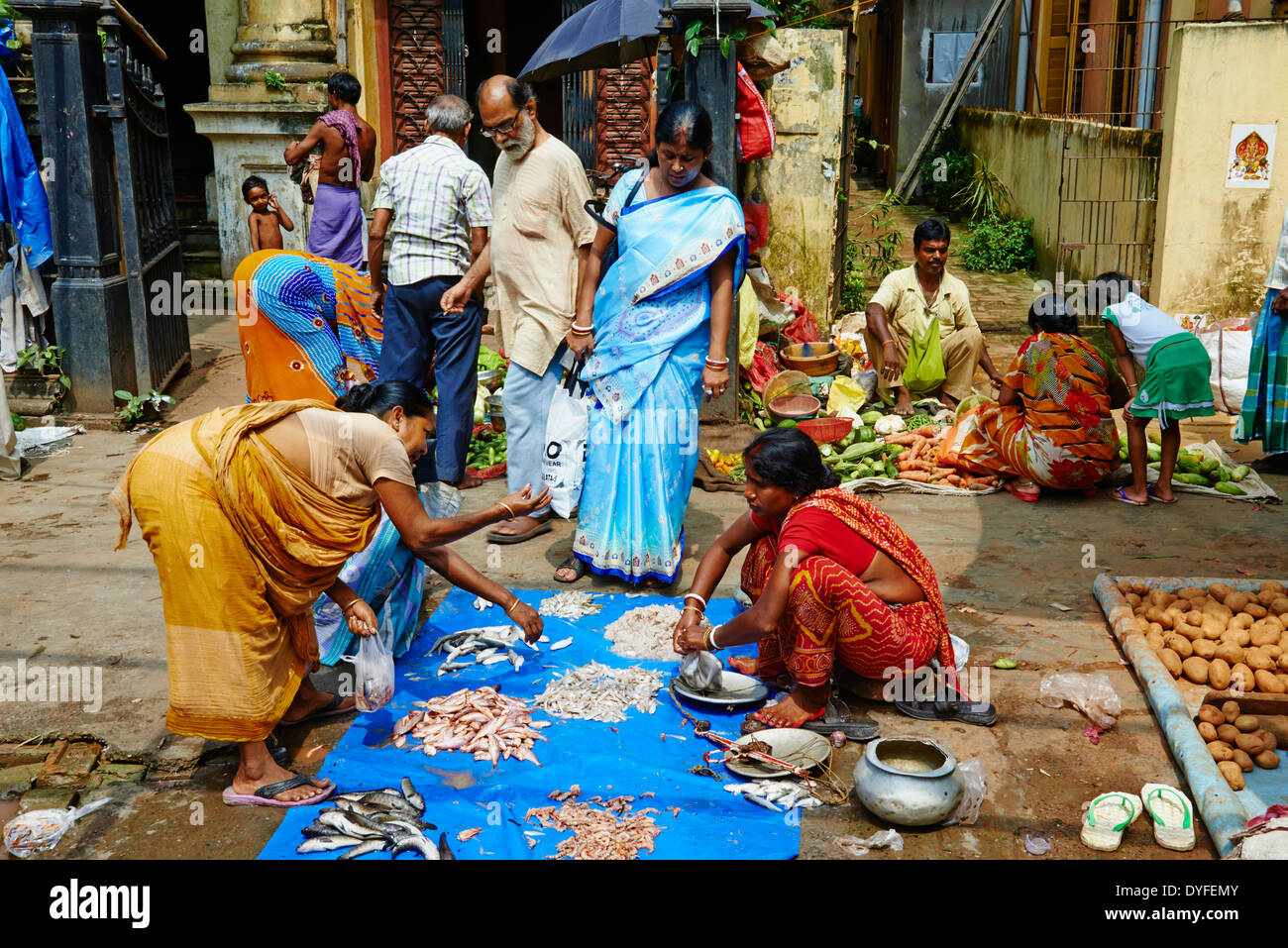 India, West Bengal, Kolkata, Calcutta, street life, fish market Stock