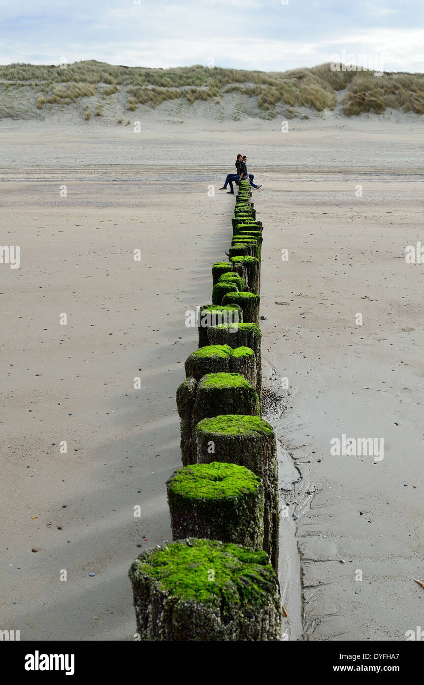 Wooden breakwaters on the beach in Nieuw Haamstede Zeeland Holland with mother and daughter Stock Photo