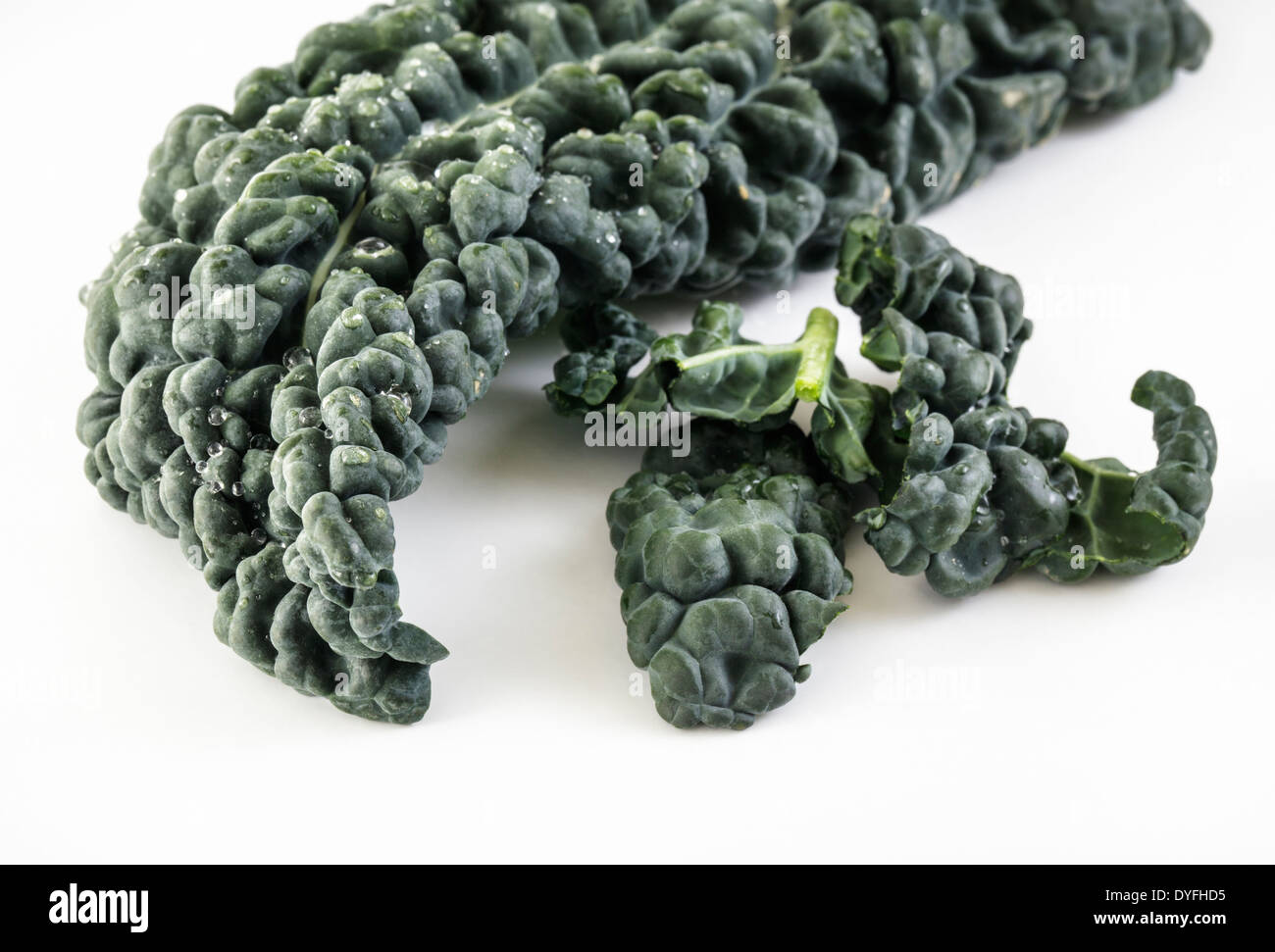 Cavolo Nero, Italian black Cabbage close up Stock Photo