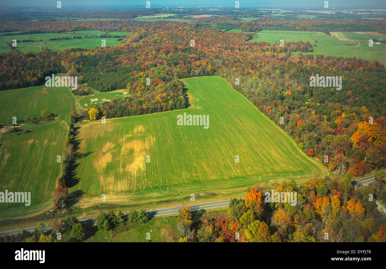 LOUDOUN COUNTY, VIRGINIA, USA - Aerial of land and forest, autumn foliage. Stock Photo