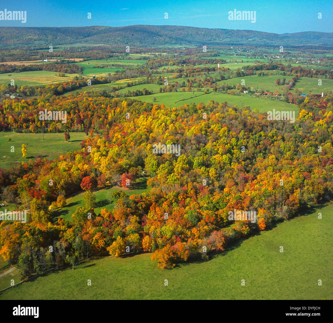 LOUDOUN COUNTY, VIRGINIA, USA - Aerial of fragmented forest with autumn foliage, with Blue Ridge mountains in distance. Stock Photo