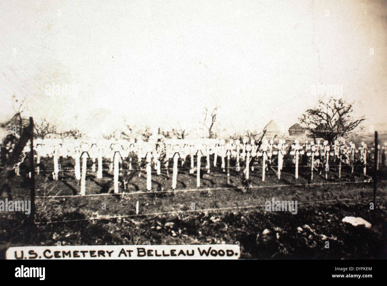 WW1 photo postcard American military graveyard Belleau Wood France WW1 photo postcard American military graveyard Belleau Wood France