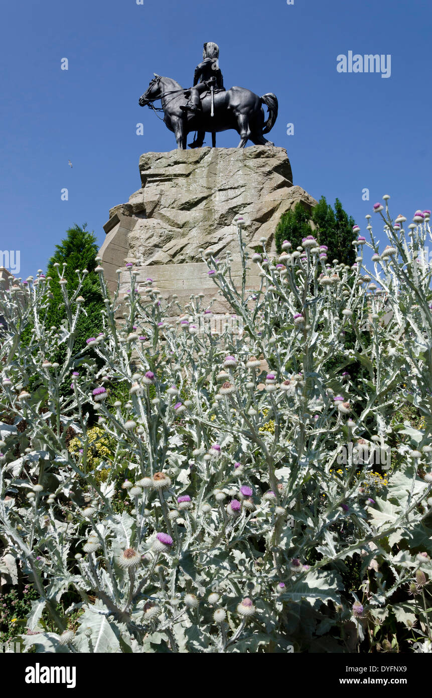 Military statue in Princes Street Gardens, Edinburgh, Scotland, with a large thistle plant in the foreground. Stock Photo