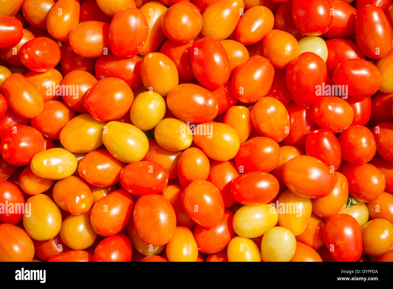 Plum tomatoes hires stock photography and images Alamy