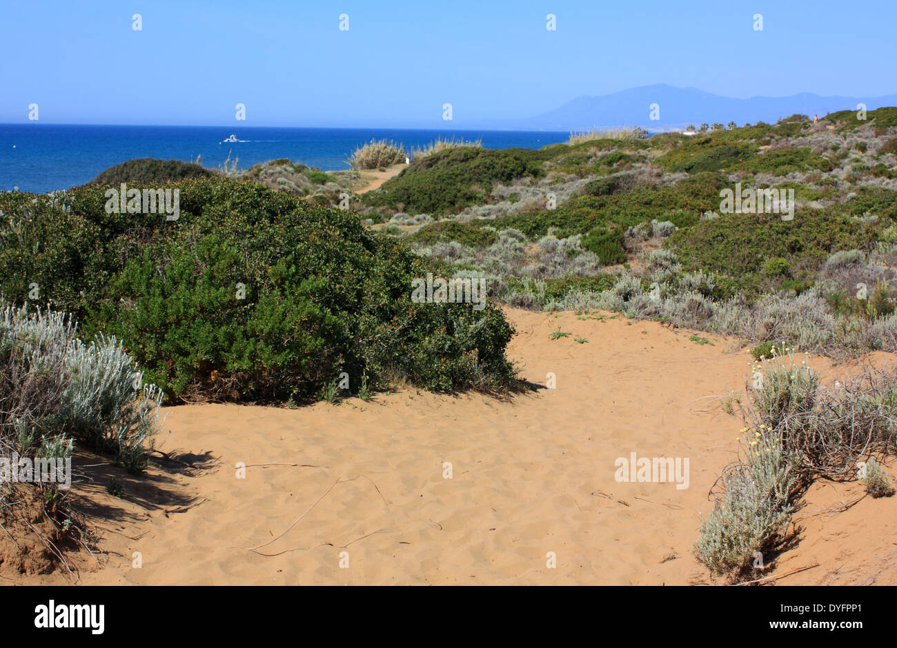 a view of the ocean through the sand dunes Stock Photo - Alamy