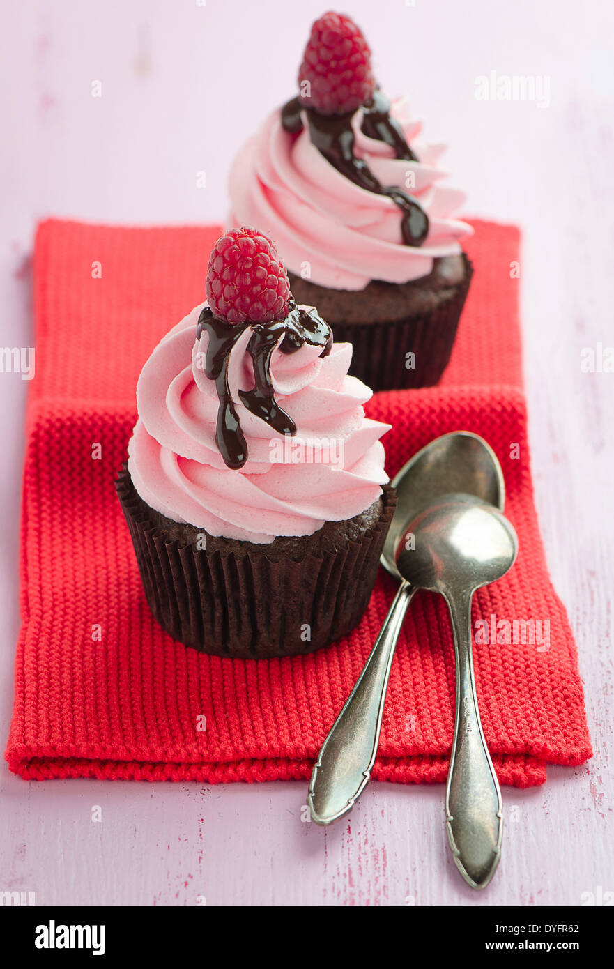 Raspberry chocolate cupcakes Stock Photo