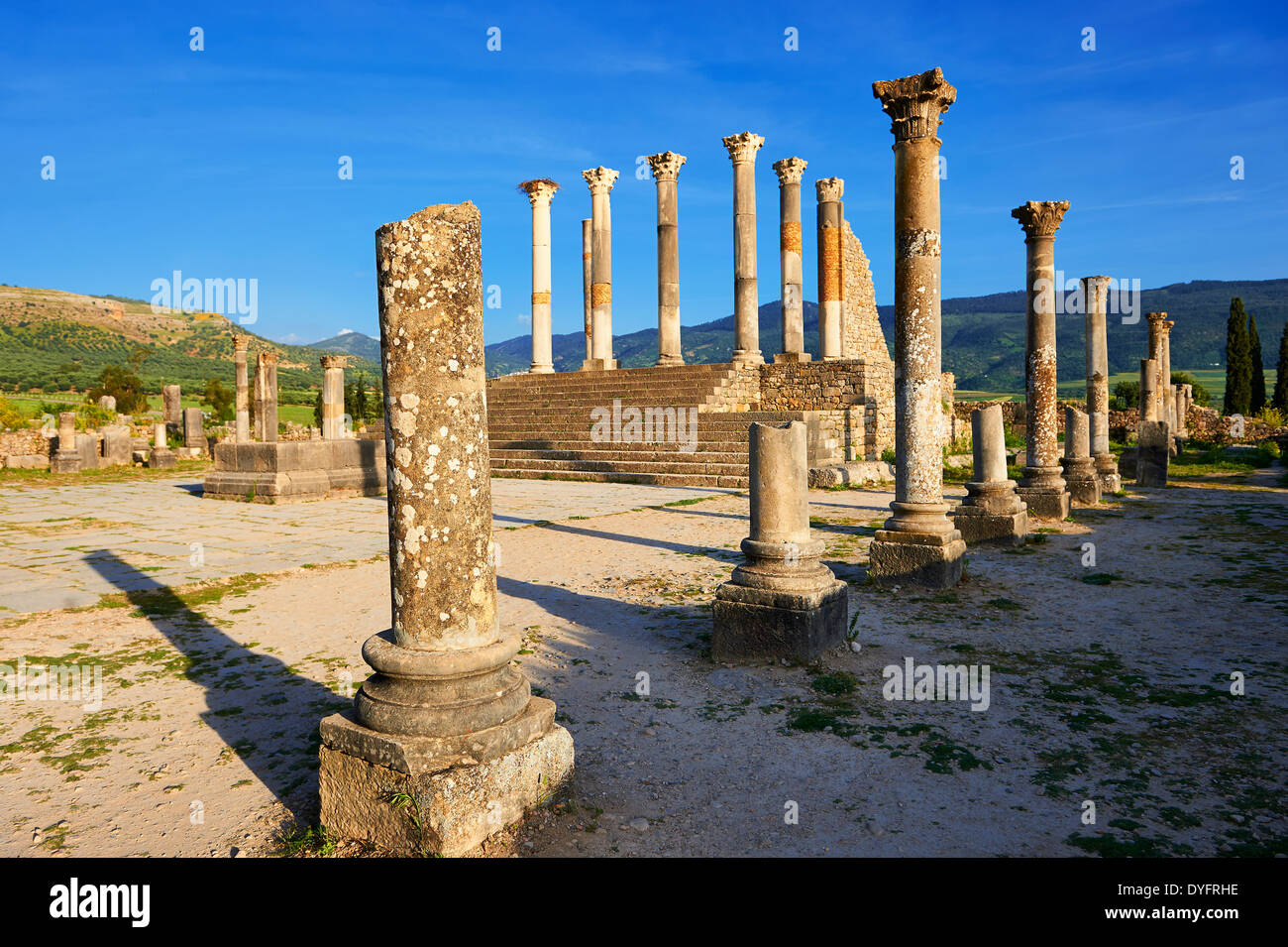 The Corintian columns of Capitoline Temple Volubilis Archaeological Site,  Morocco Stock Photo