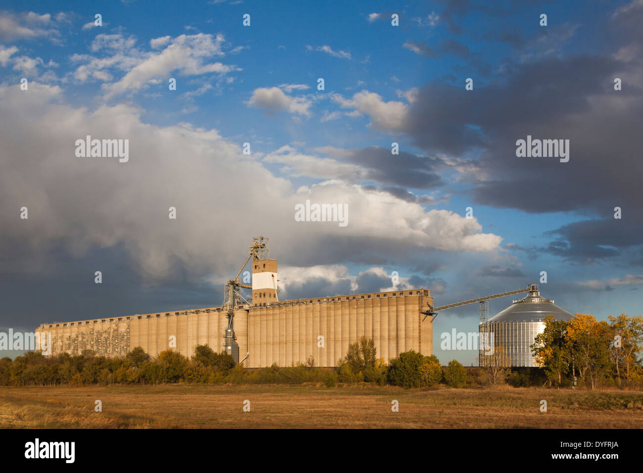 USA, Kansas, Hutchinson, grain elevator at dusk Stock Photo Alamy