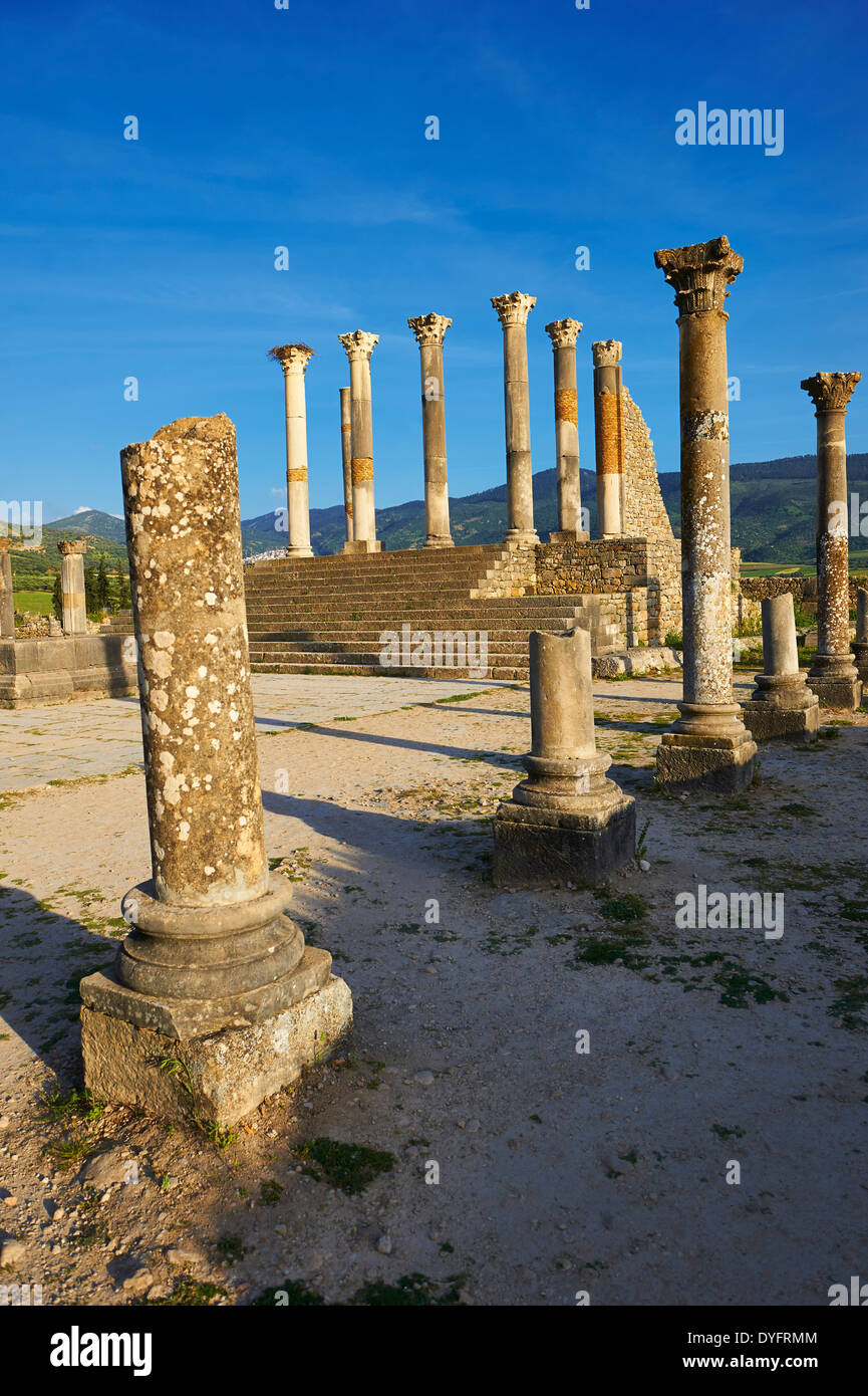 The Corintian columns of Capitoline Temple Volubilis Archaeological Site,  Morocco Stock Photo