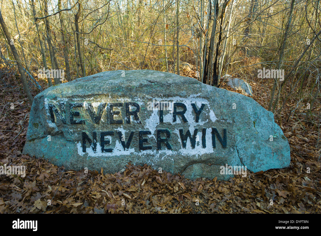 Dogtown massachusetts hi-res stock photography and images - Alamy
