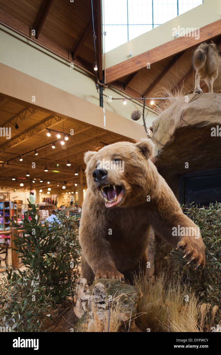 stuffed animal display at Cabela's Sporting Goods