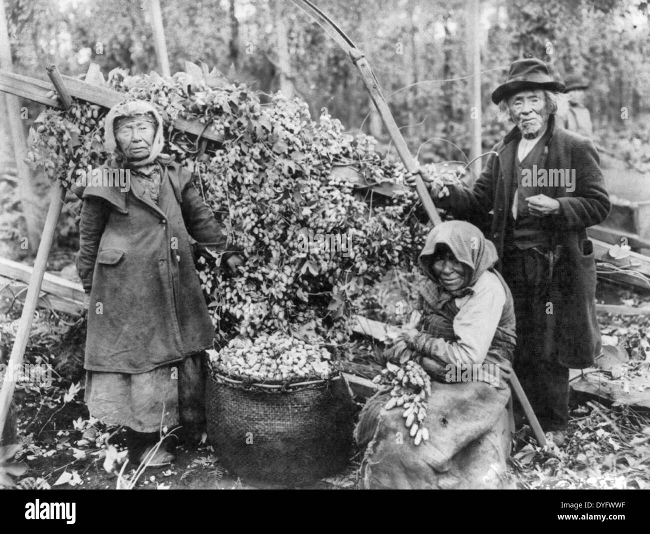 Three Siwash Indian hop pickers posed with hops, Snoqualmie, Washington, circa 1906 Stock Photo