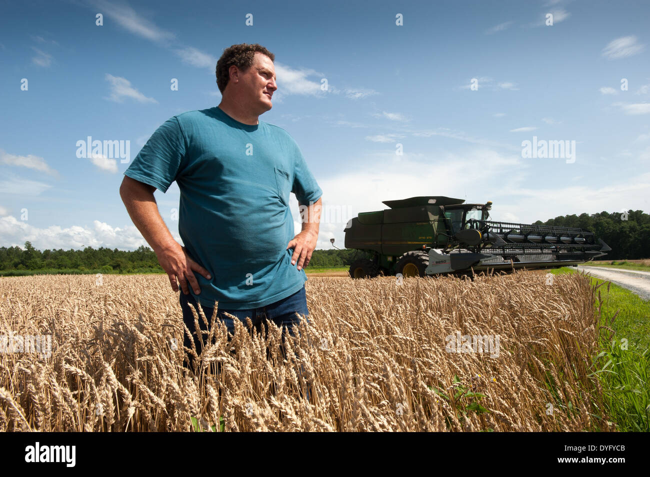 Farmer in wheat field hi-res stock photography and images - Alamy