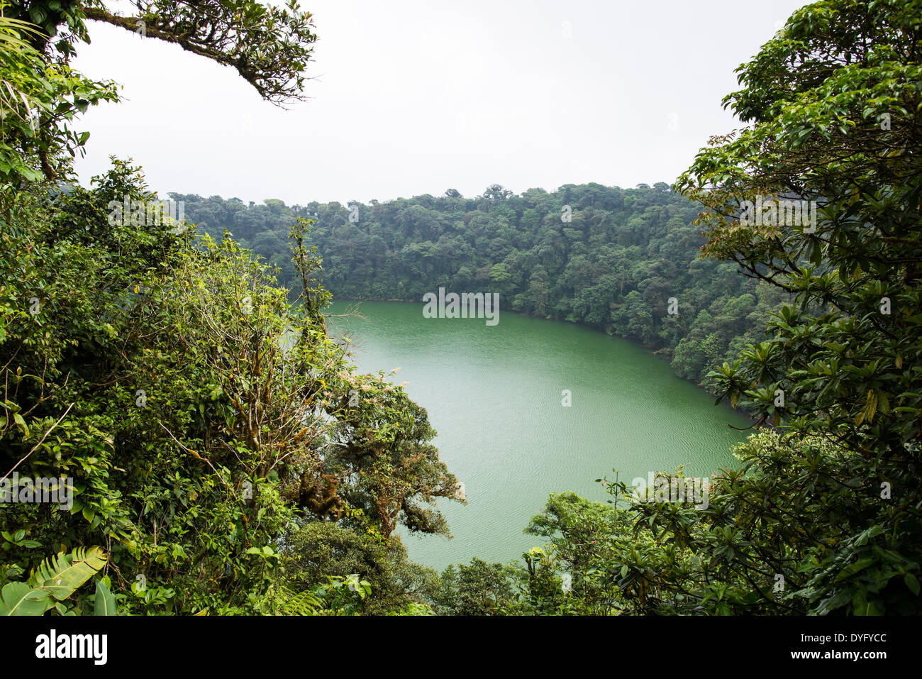 The crater lake of Cerro Chato Volcano. Costa Rica. Stock Photo