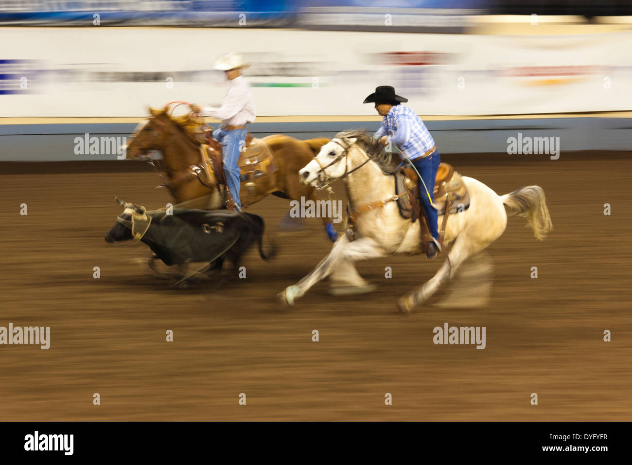 USA, Oklahoma, Oklahoma City, Oklahoma State Fair Park, Cowboy Rodeo