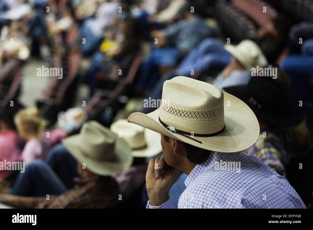 USA, Oklahoma, Oklahoma City, Oklahoma State Fair Park, Cowboy Rodeo