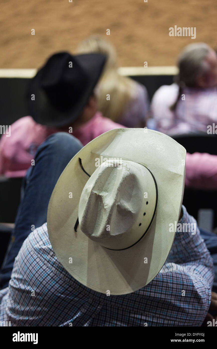 USA, Oklahoma, Oklahoma City, Oklahoma State Fair Park, Cowboy Rodeo