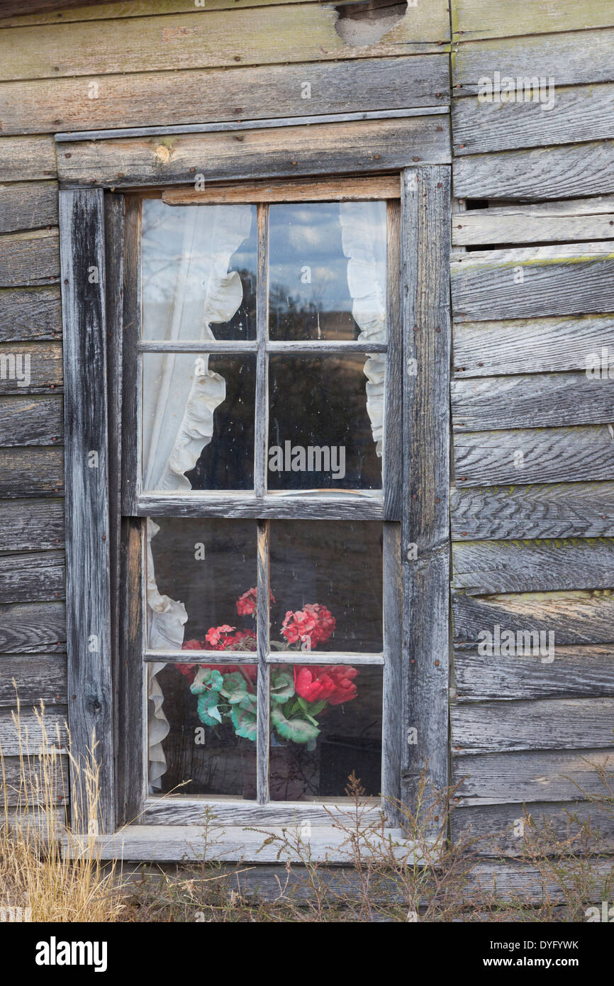 USA, South Dakota, Cactus Flat, Prairie Homestead, homesteader sod house, window detail Stock Photo