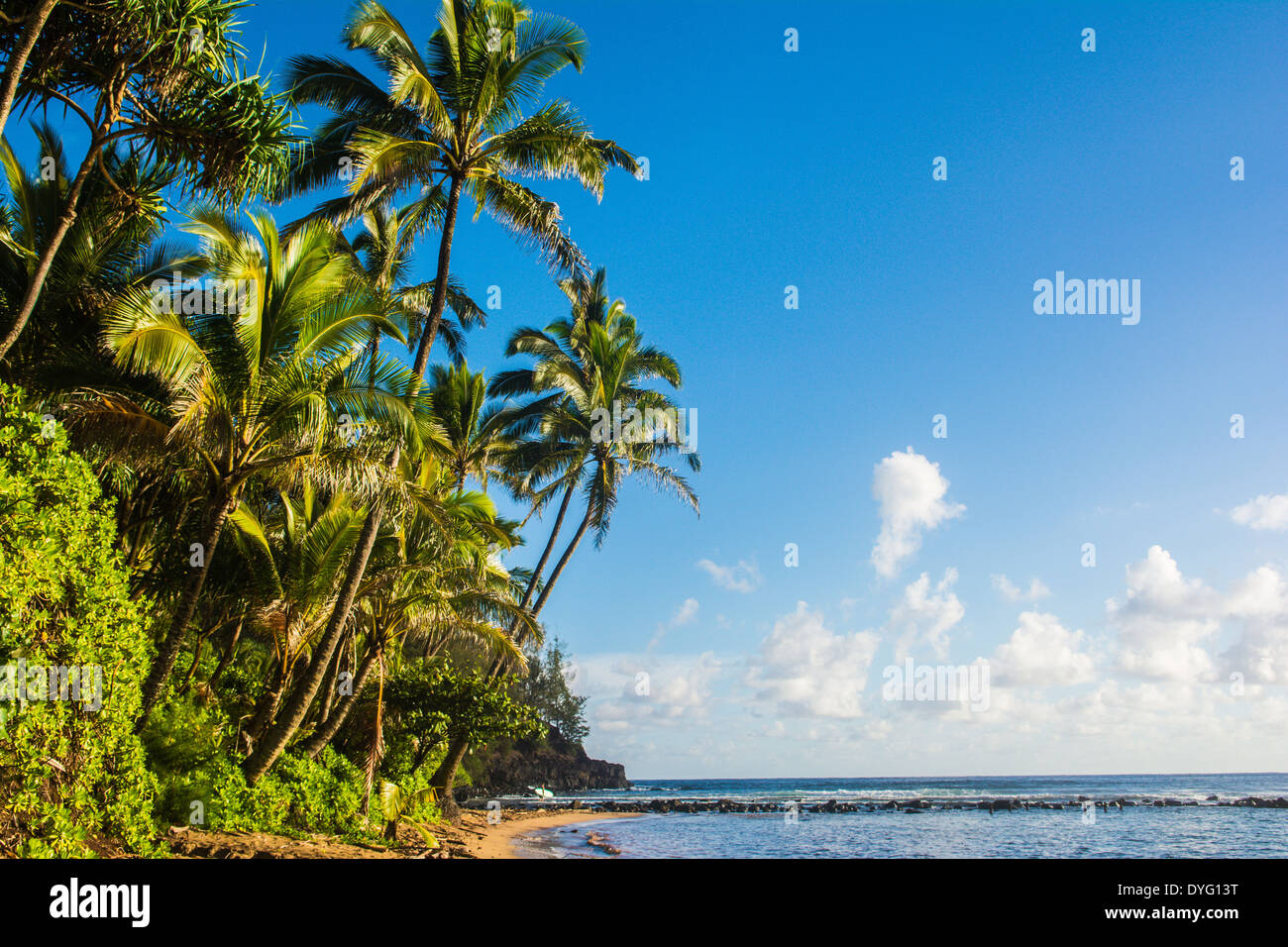 Hanalei Bay, Kauai, Hawaii Stock Photo Alamy