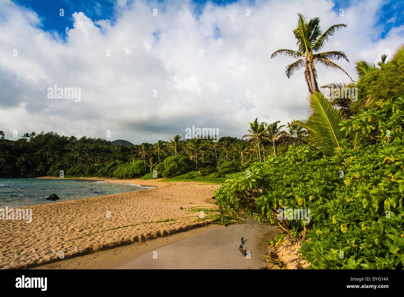Papa'a Bay, Kauai, Hawaii Stock Photo Alamy