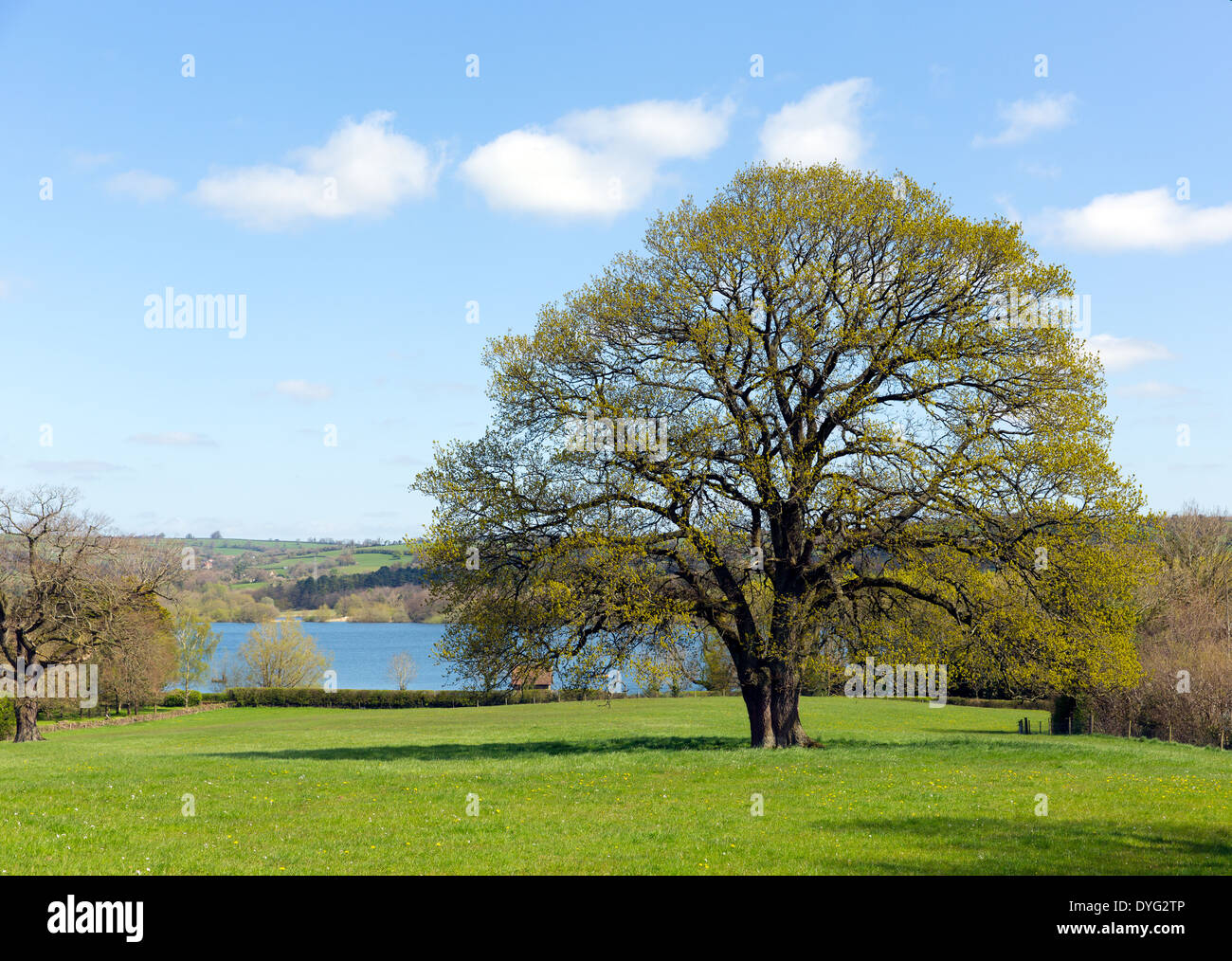 Blagdon Lake Somerset in Chew Valley at the edge of the Mendip Hills