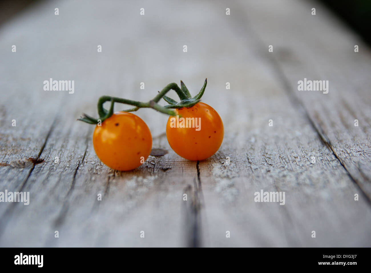tomatoes, wooden, fresh, freshness, food, canning, summer, leaves, vegetarian, produce, pickles, horseradish, table, ripe, natur Stock Photo