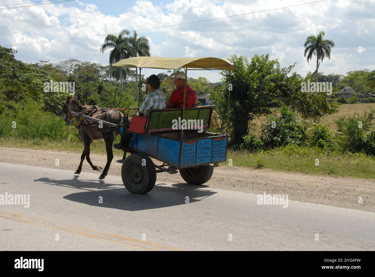 The typical local transport for the Cuban people in and around the city of Holguin. A horse and cart with sun shade. Stock Photo