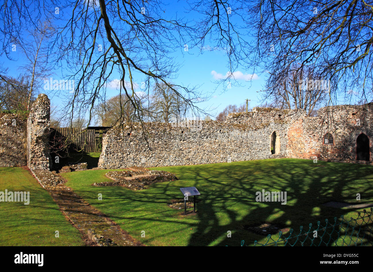 A view of the cloister wall ruins at St Olave's Priory, Norfolk, England, United Kingdom. Stock Photo