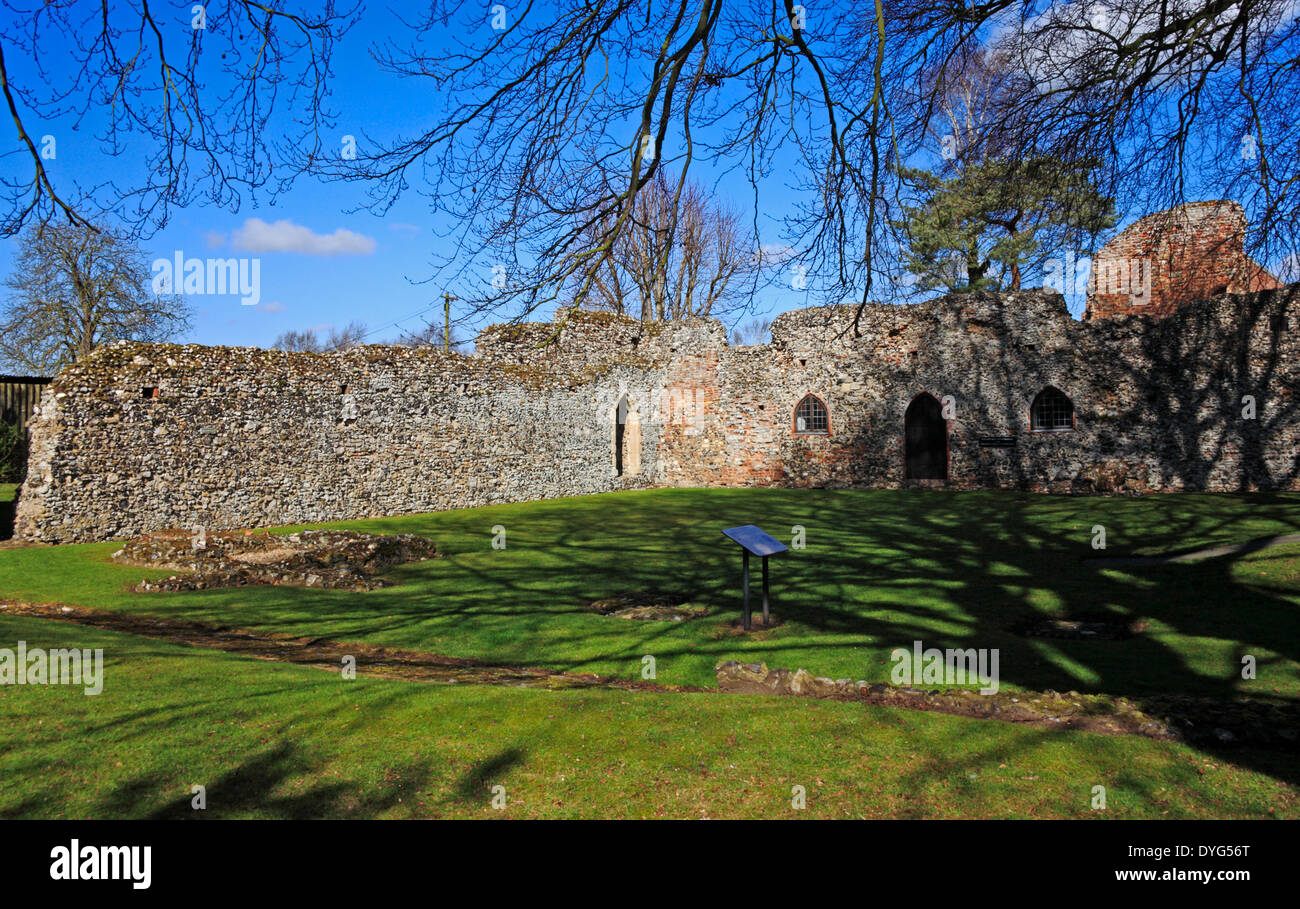 A view of ruins of the west cloister wall and the refectory at St Olave's Priory, Norfolk, England, United Kingdom. Stock Photo