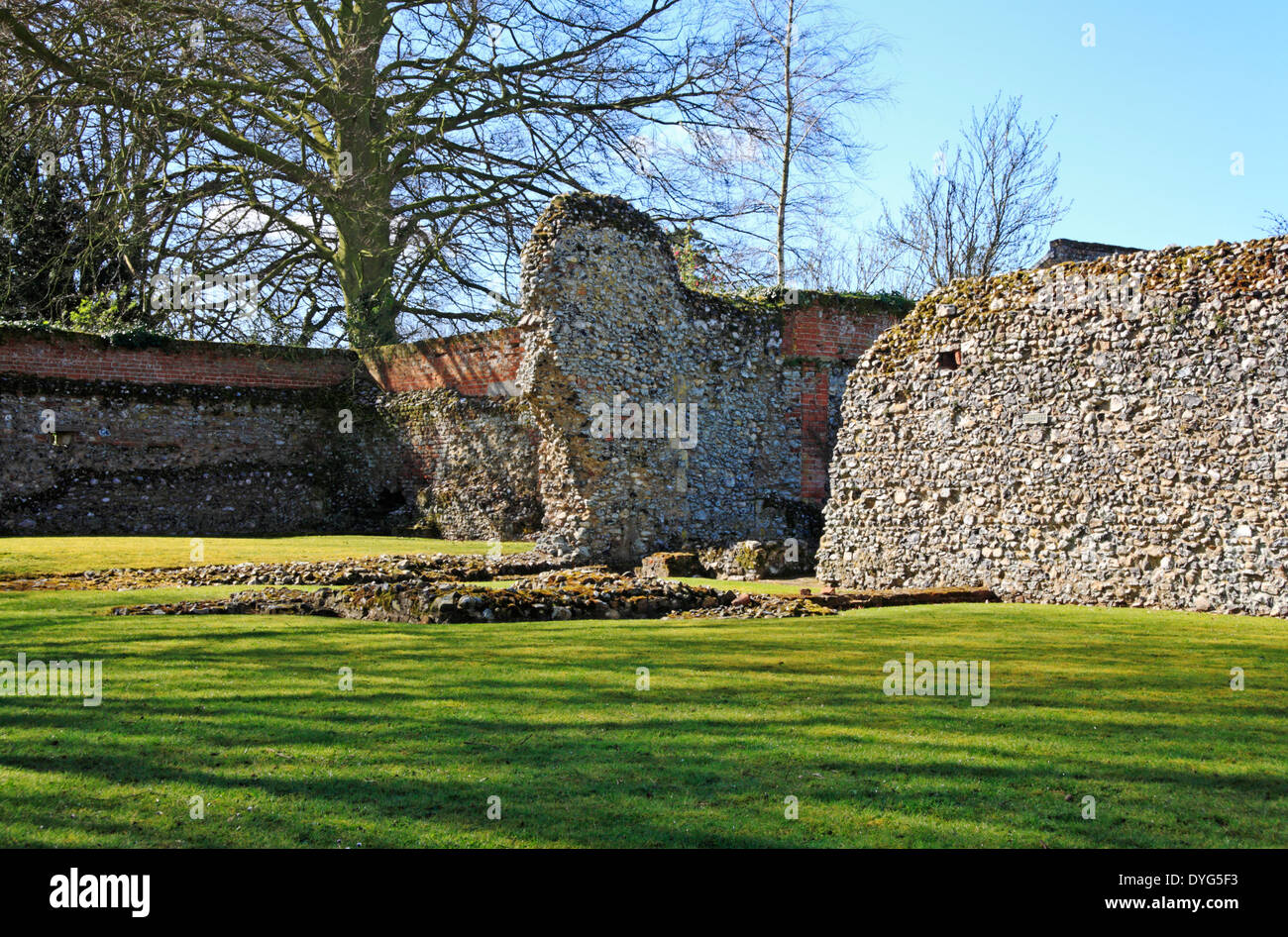 A view of the ruins of the Chapel and cloister west wall at St Olave's Priory, Norfolk, England, United Kingdom. Stock Photo