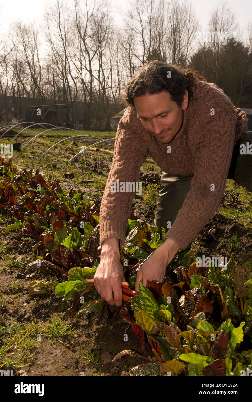 Farm worker working on plot of land which produces fresh produce for