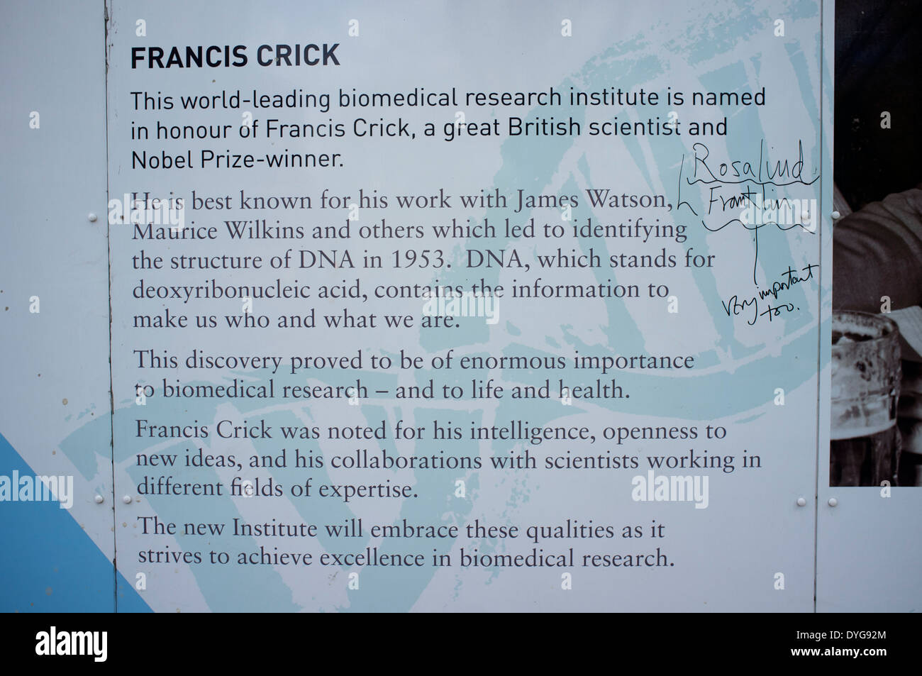 Comments about Rosalind Franklin on wall of Francis Crick Institute site in Camden London Stock Photo