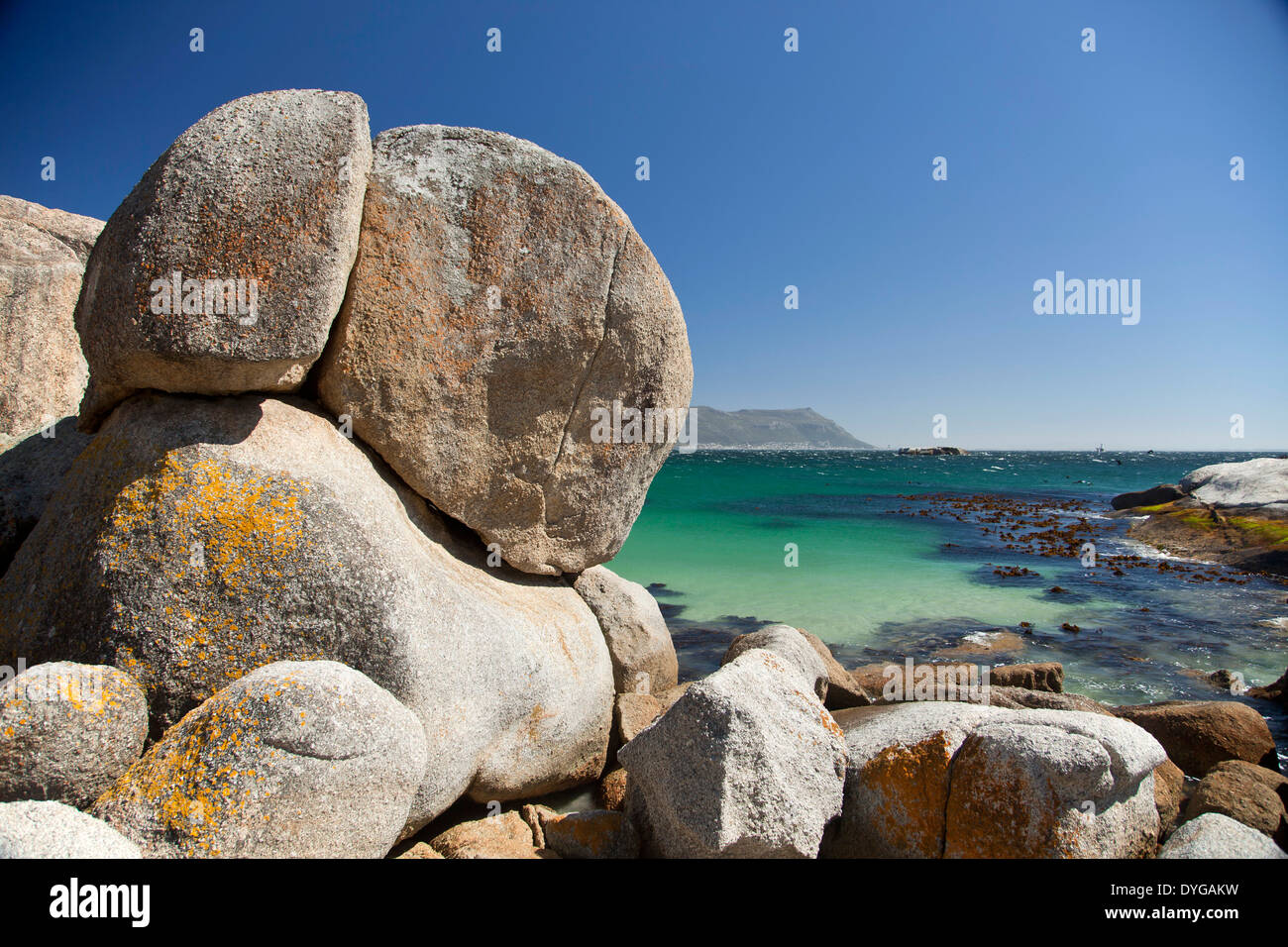 Boulders Beach near Simon's Town, Cape Town, Western Cape, South Africa Stock Photo