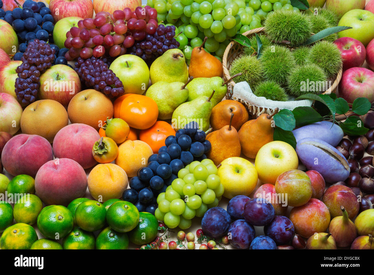 Best fruits in the world hires stock photography and images Alamy